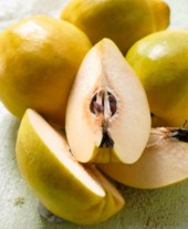 Birsalm�s tiramisu