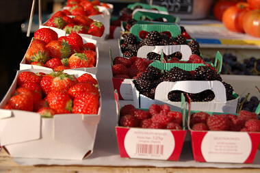 Finomak �s vitamind�sak!