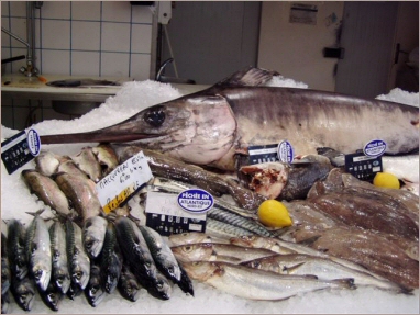 Egy h�ten legal�bb egyszer egy�nk halat!