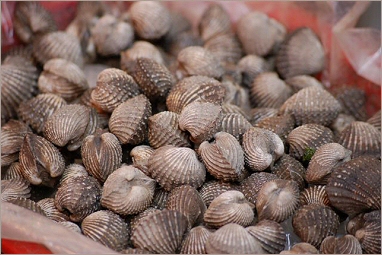 Friss, finom kagyl�k