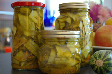 Pik�ns savany�s�g