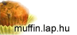 muffin.lap.hu