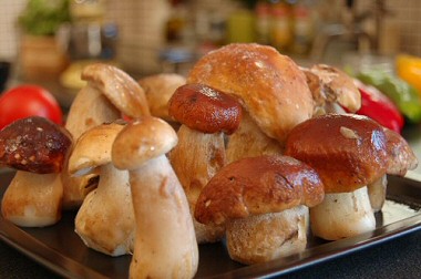 M�yh�t�tt varg�nya - mintha friss lenne 