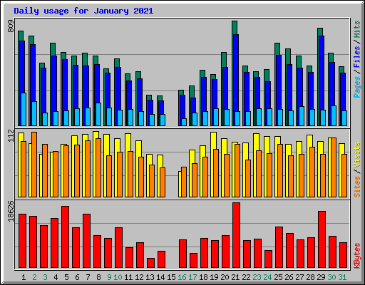 Daily usage for January 2021