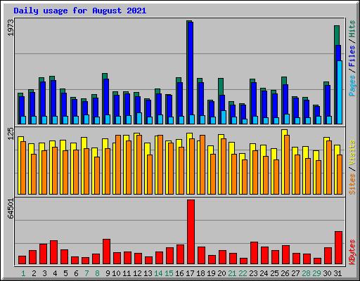 Daily usage for August 2021
