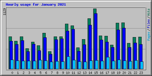 Hourly usage for January 2021