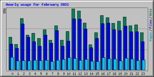 Hourly usage for February 2021
