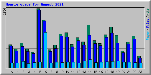 Hourly usage for August 2021