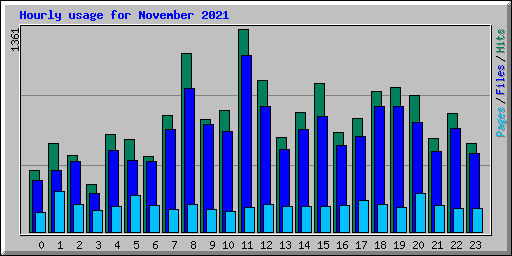 Hourly usage for November 2021